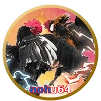 nohu64